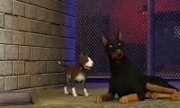 Wszystkie zwierzęta duże i małe, The Sims 3: Zwierzaki - recenzja
